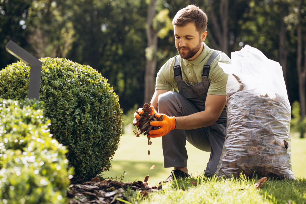 The Job of Landscapers